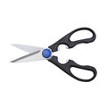 Kitchen Shears,,large