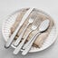 Flatware Set 65 Piece preview