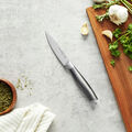 4.00 inch, Paring knife,,large