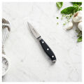 3.00 inch, Paring knife,,large