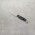 3.00 inch, Paring knife,,large