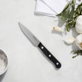 4.00 inch, Paring knife,,large