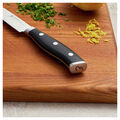 4.00 inch, Paring Knife,,large
