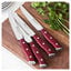 4 Piece, Steak set, red,,large preview