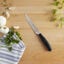 4-pc, Steak Knives,,large preview